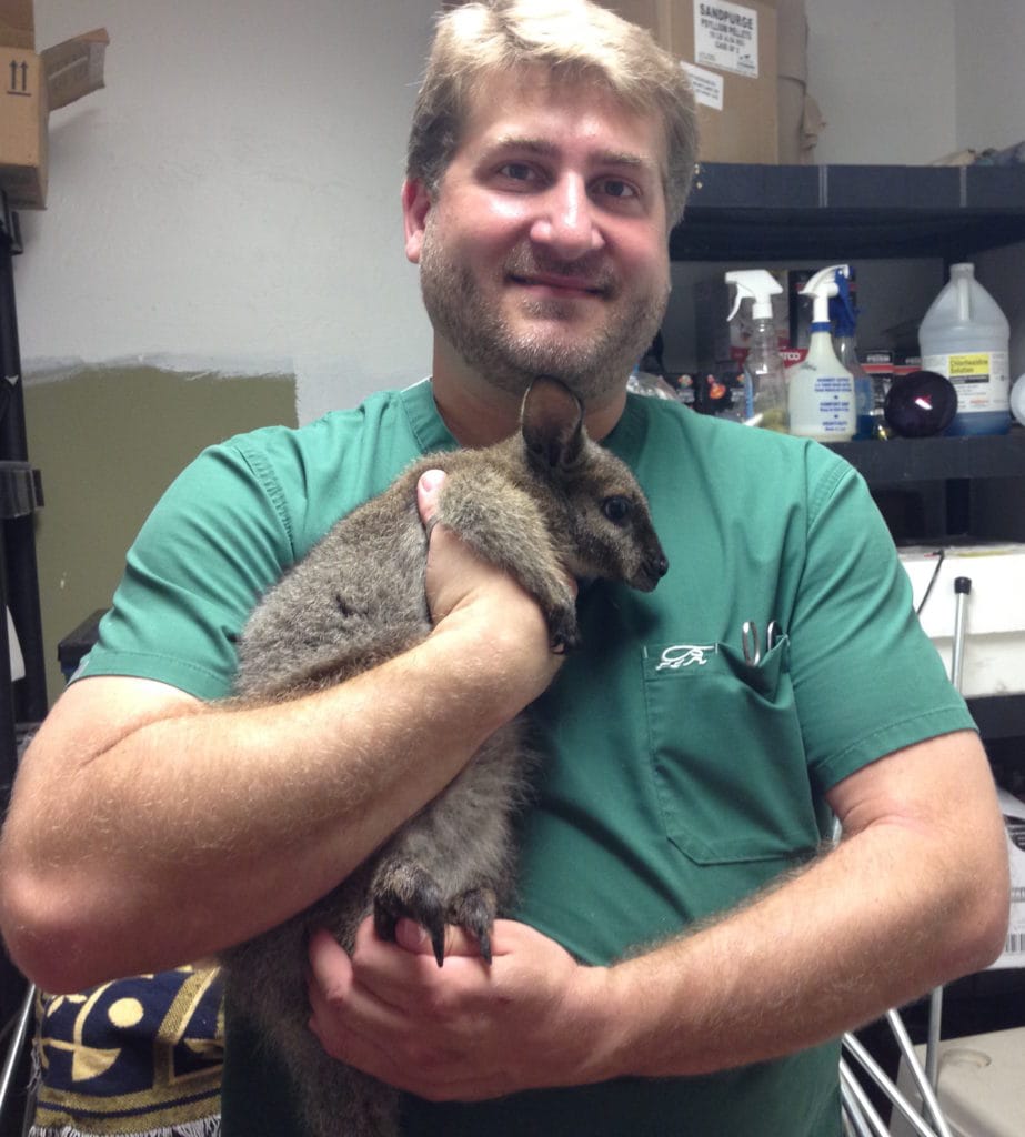 Curbside Veterinarian Service Exotic Vet Fort Myers