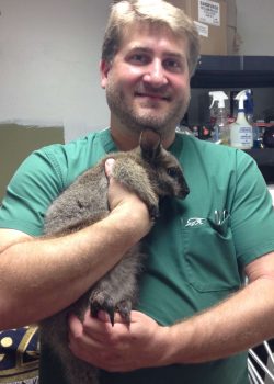 Dr. Medlin kangaroo